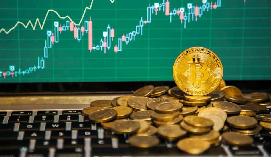 Financial growth concept with golden Bitcoins. Source: Shutterstock