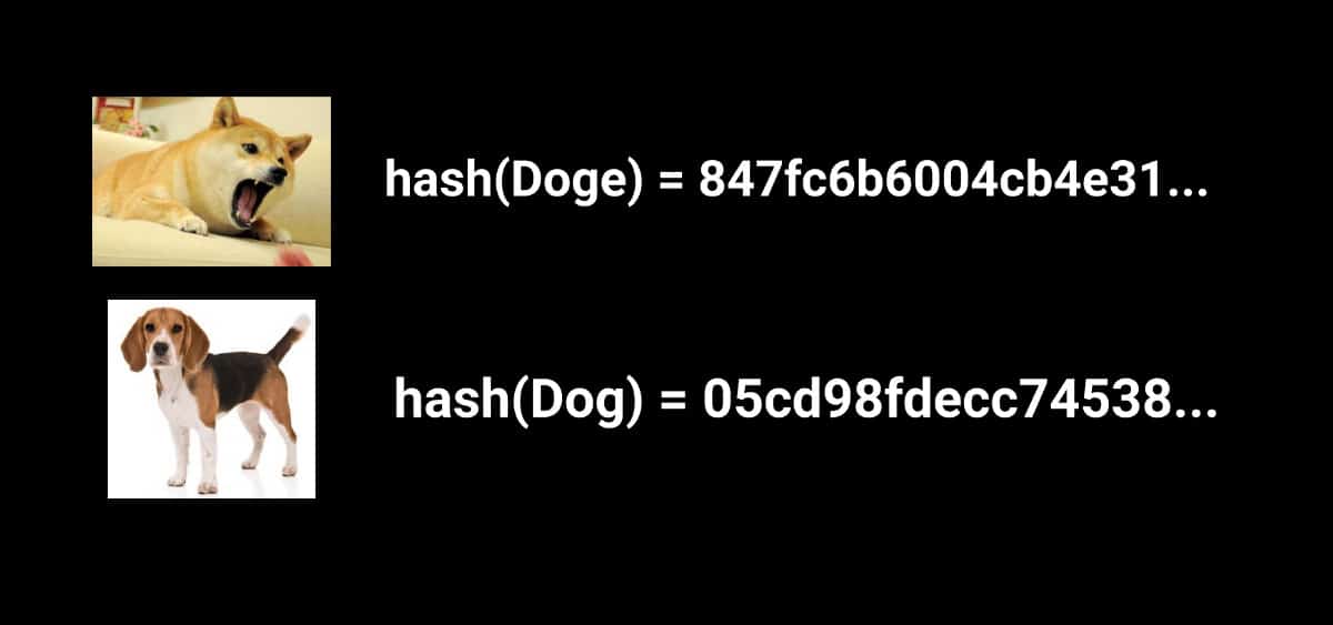 Putting Doge or Dog through a hash function gives completely different hashes