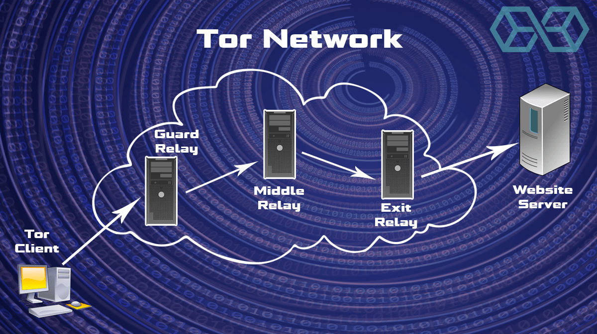 browser tor network даркнет