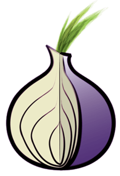 Tor logo1