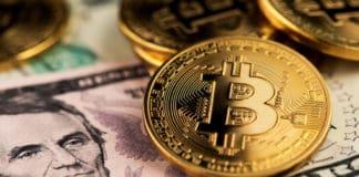 US Bitcoin & Treasury Investment Trust Files Amendment No.3 to Its Registration Statement With the SEC US Dollar and Bitcoin Cryptocurrency coins. BTC Dollar Bitcoin Cryptocurrency - Image