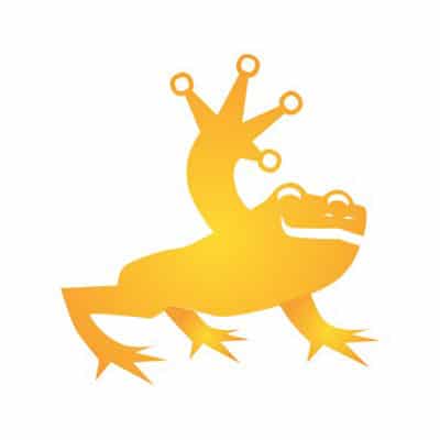 Golden Frog - Team