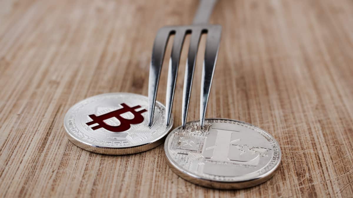 Is Dash a fork of Bitcoin or Litecoin - Source: ShutterStock.com