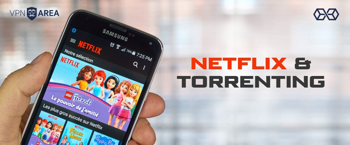Netflix and Torrenting VPNArea - Source: Shutterstock.com