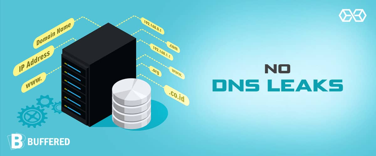 No DNS Leaks
