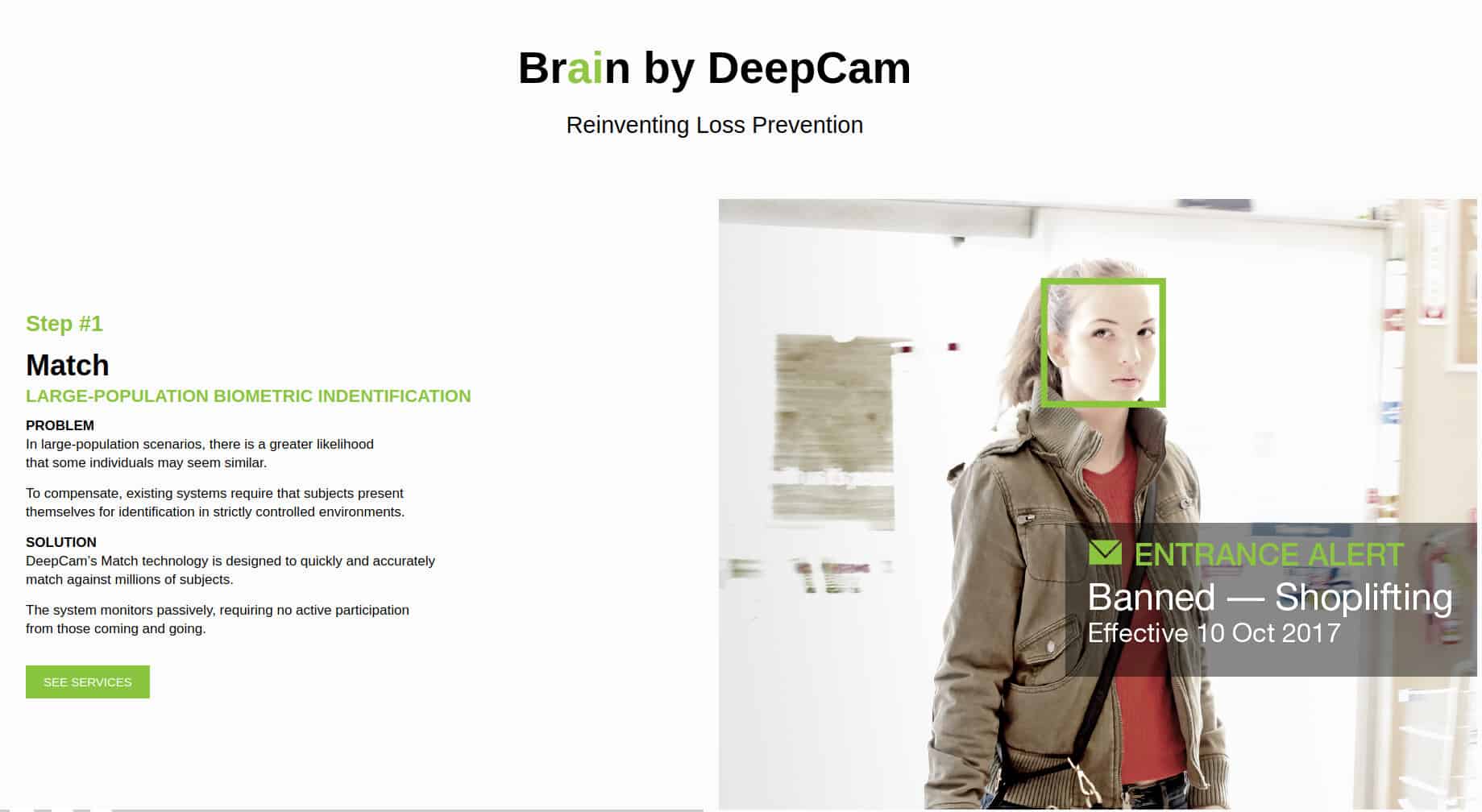 Brain by DeepCam